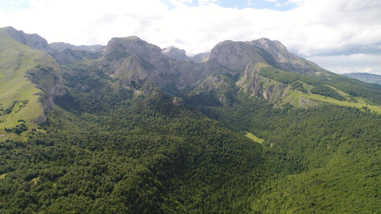 Suri Konuk evi Plužine Dış mekan fotoğraf