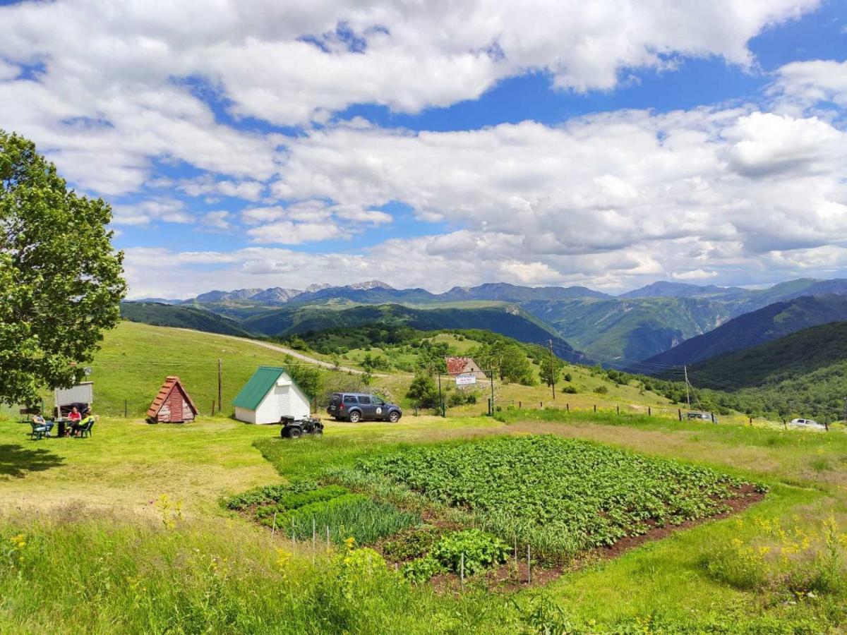 Suri Konuk evi Plužine Dış mekan fotoğraf