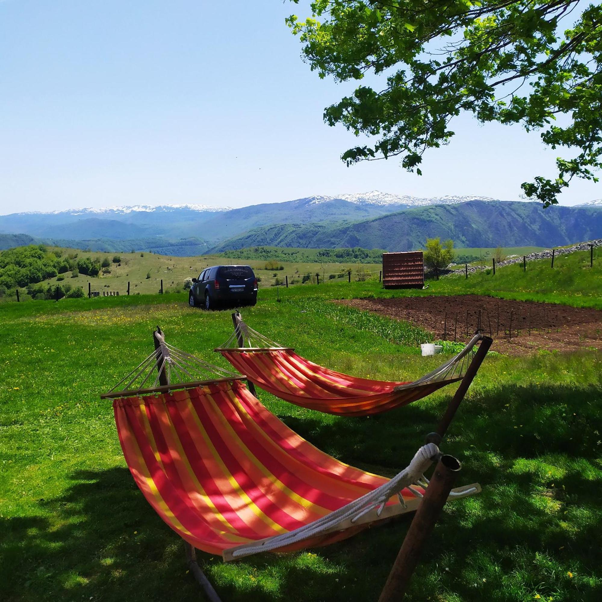 Suri Konuk evi Plužine Dış mekan fotoğraf