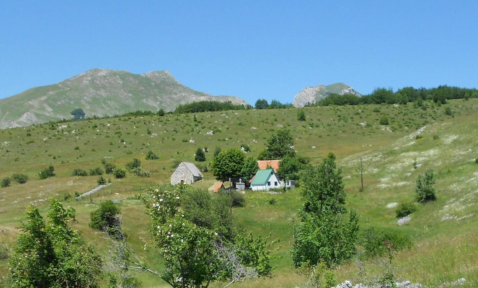 Suri Konuk evi Plužine Dış mekan fotoğraf